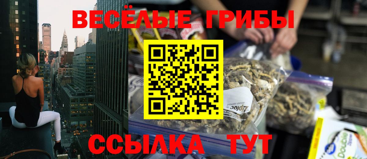 Бийск  Псилоцибиновые грибы Cubensis  Псилоцибиновые грибы MAGIC MUSHROOMS  где купить наркоту  Вход с VPN 